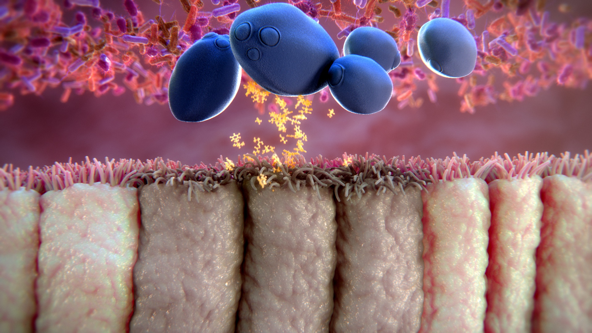 antibiotic-associated-diarrhea-the-unexpected-consequence-of-taking